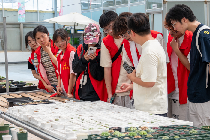 图片5.png 图片5.png